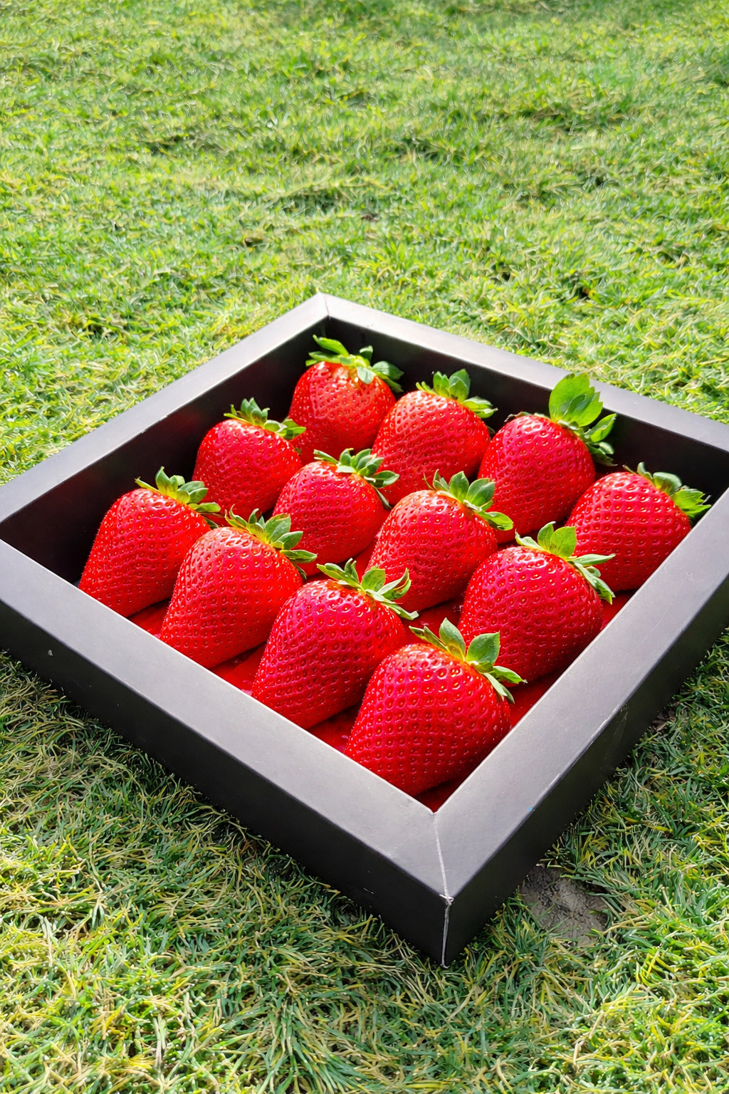 Red Strawberries – Gifting Box (Black) | 400 gm