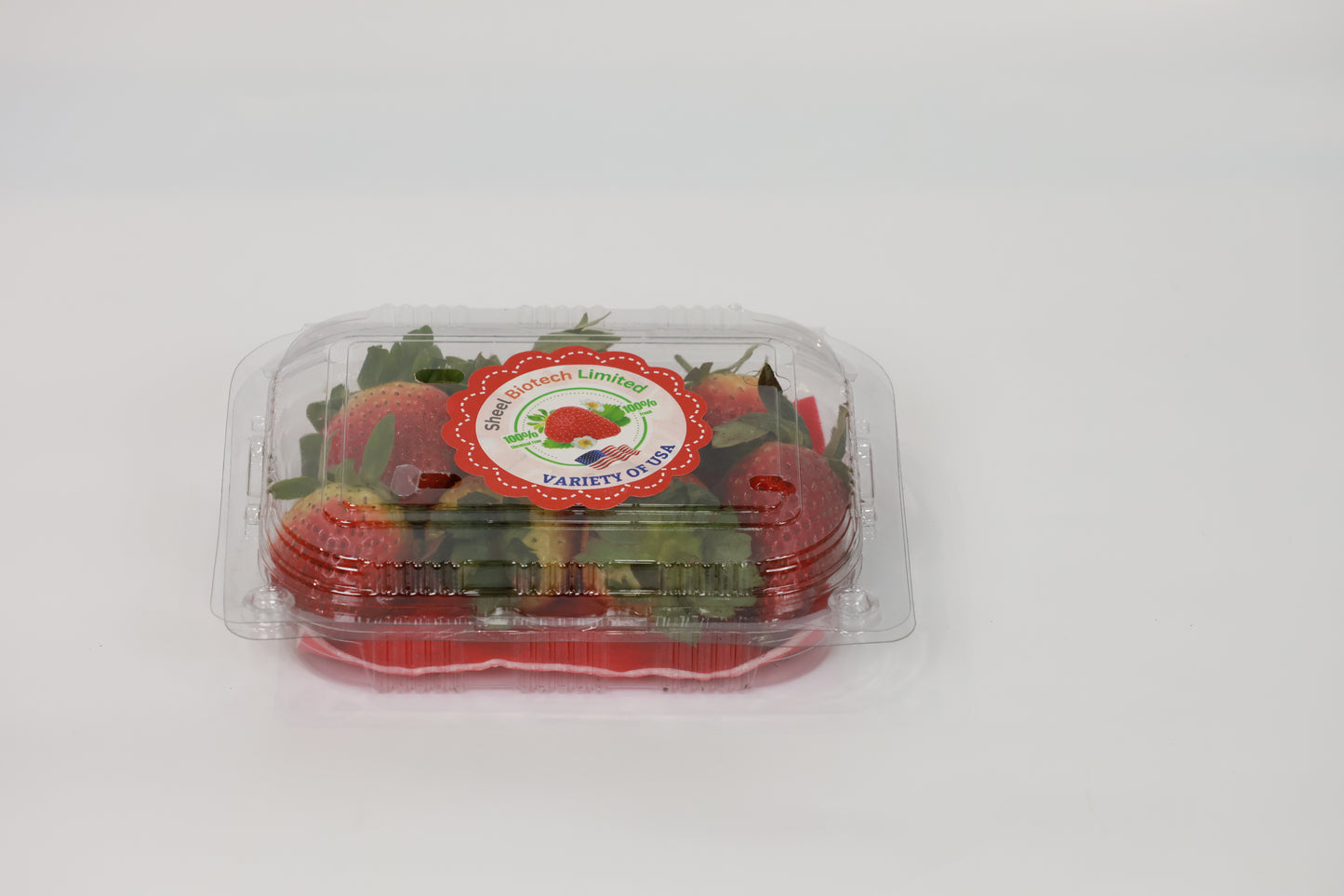 Standard Strawberry Fruit