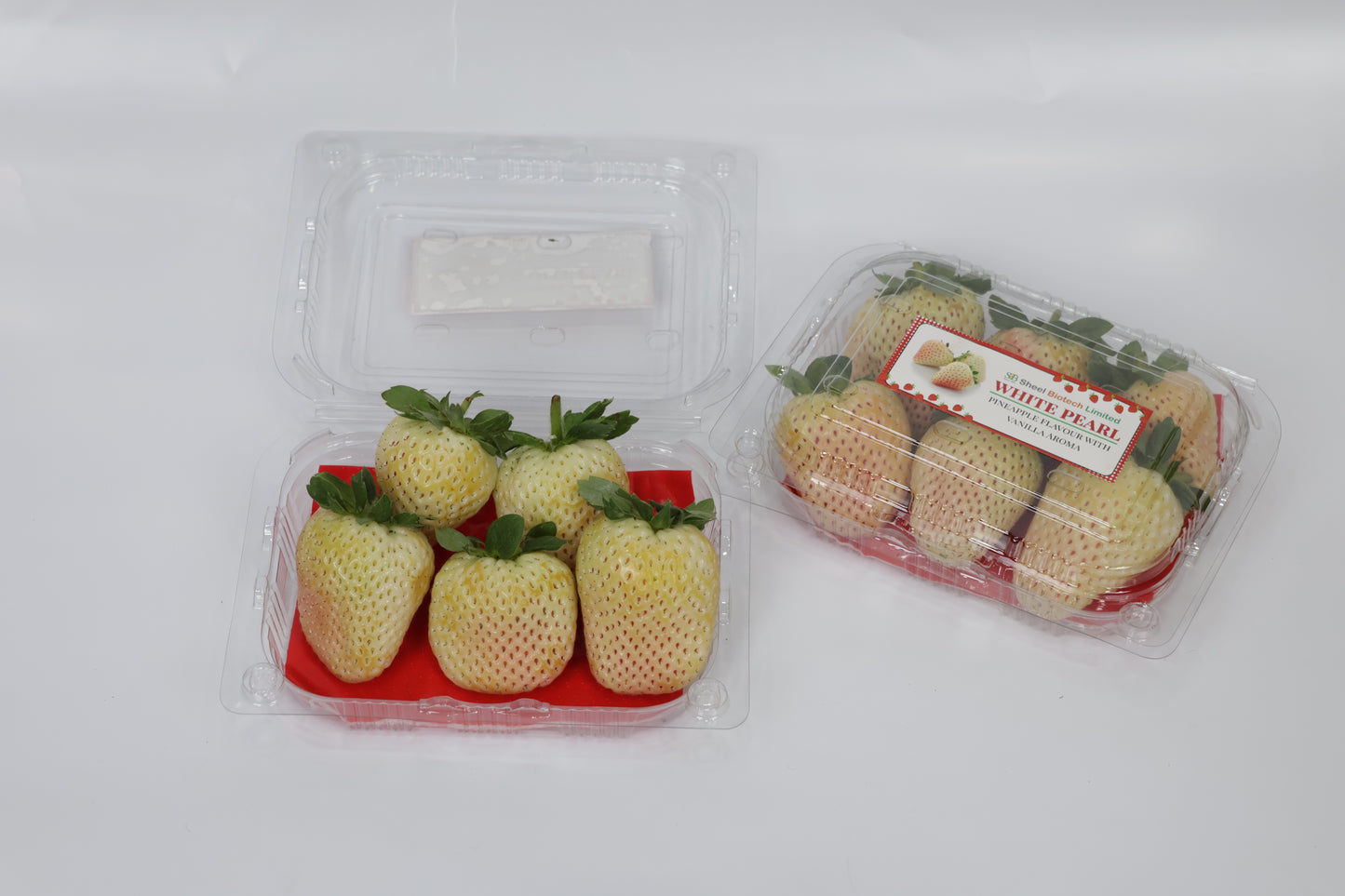 Florida Pearl Strawberry (Premium White Strawberry)