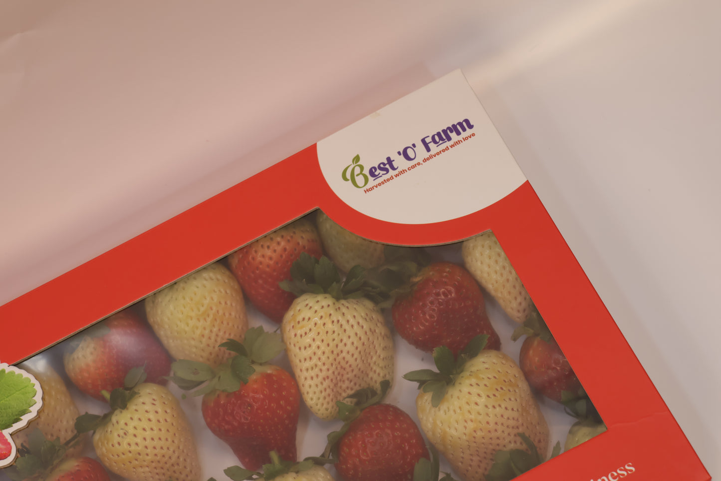 Premium Red & White Strawberry Box | Perfect for gifting & celebration | 1 kg