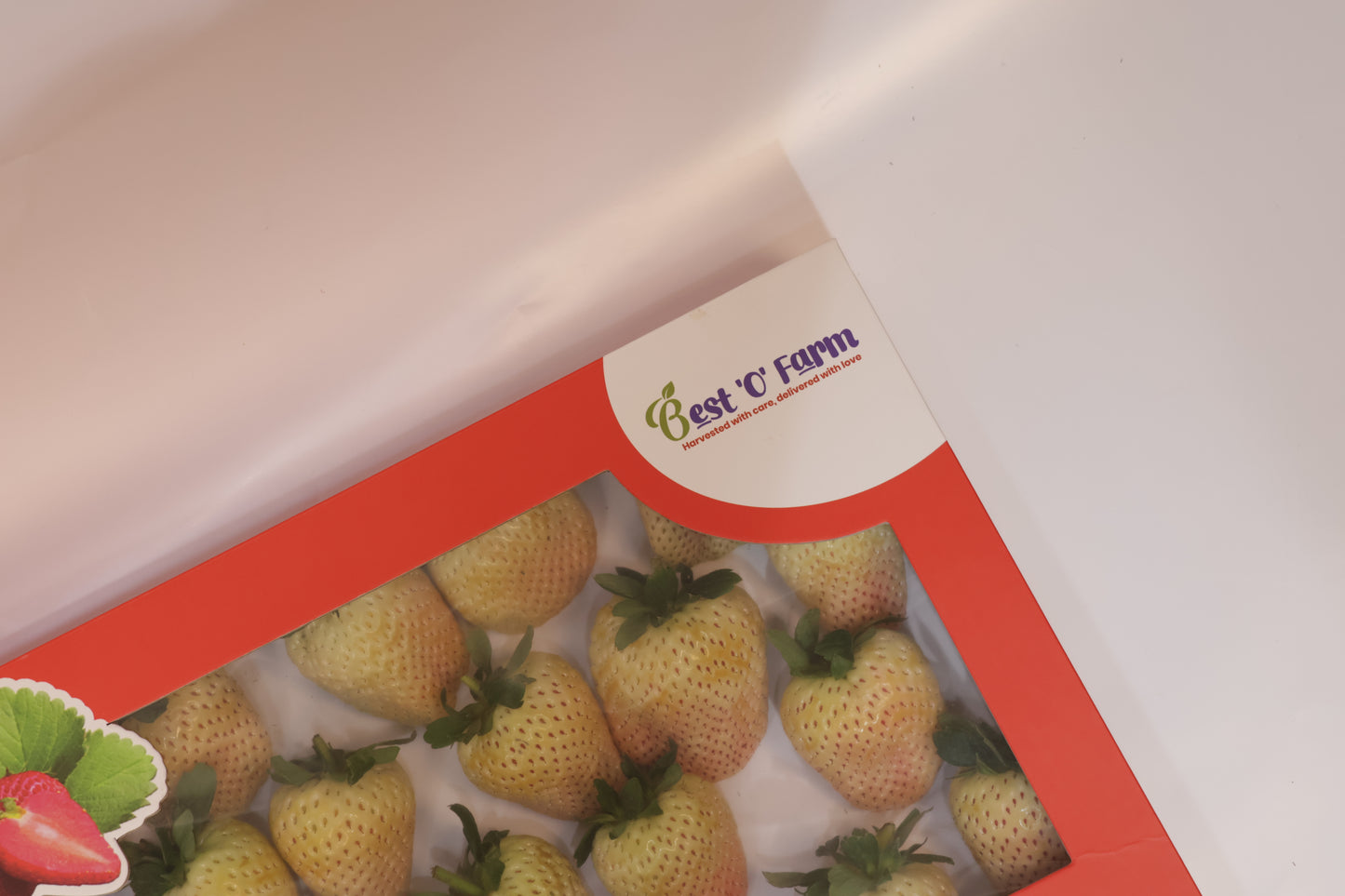 Premium White Pearl Strawberry Box | Perfect for gifting & celebration | 1 kg