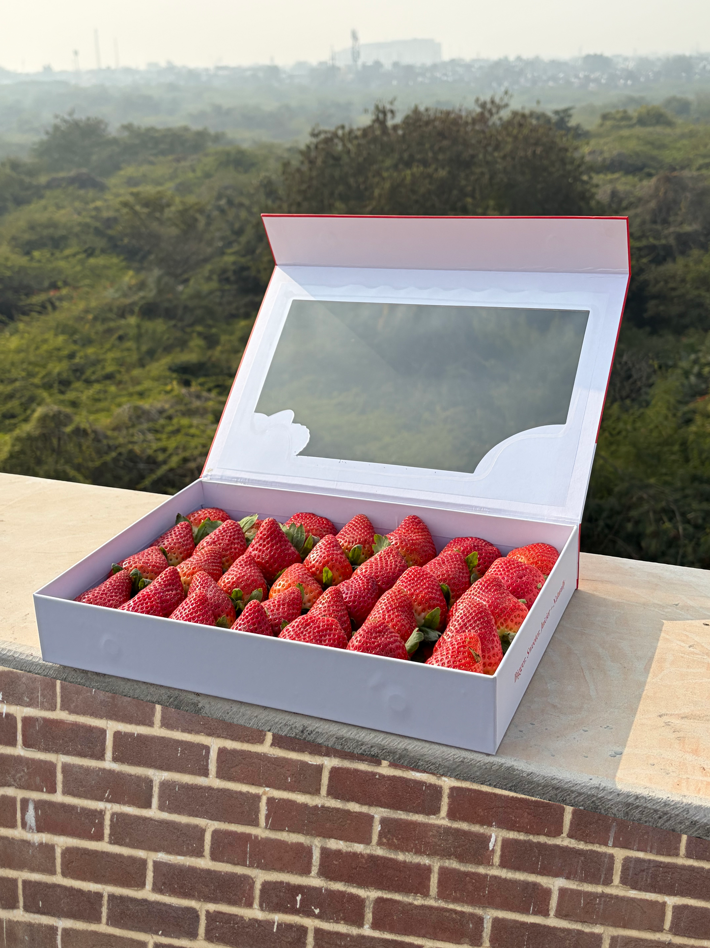 Premium Red Strawberry Box | Perfect for gifting & celebration | 1 kg