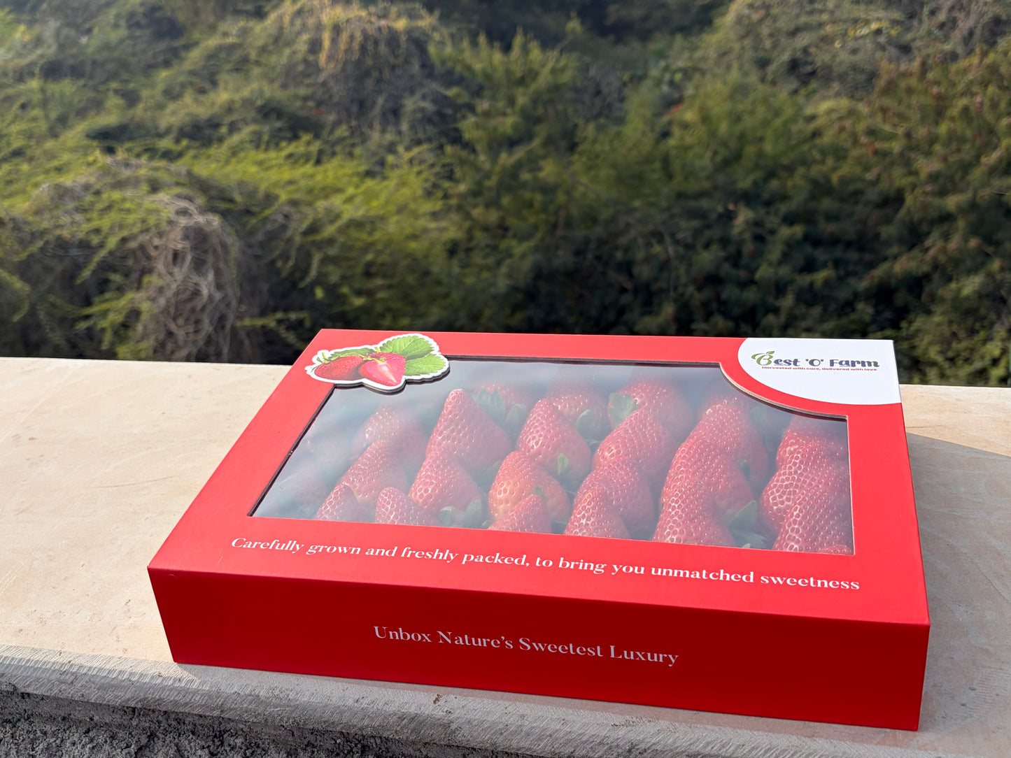 Premium Red Strawberry Box | Perfect for gifting & celebration | 1 kg