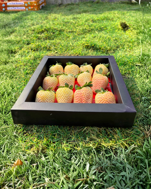 Premium White Pearl Strawberries – Gifting Box (Black) | 400 gm