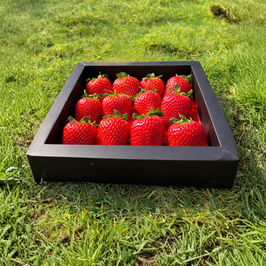 Red Strawberries – Gifting Box (Black) | 400 gm