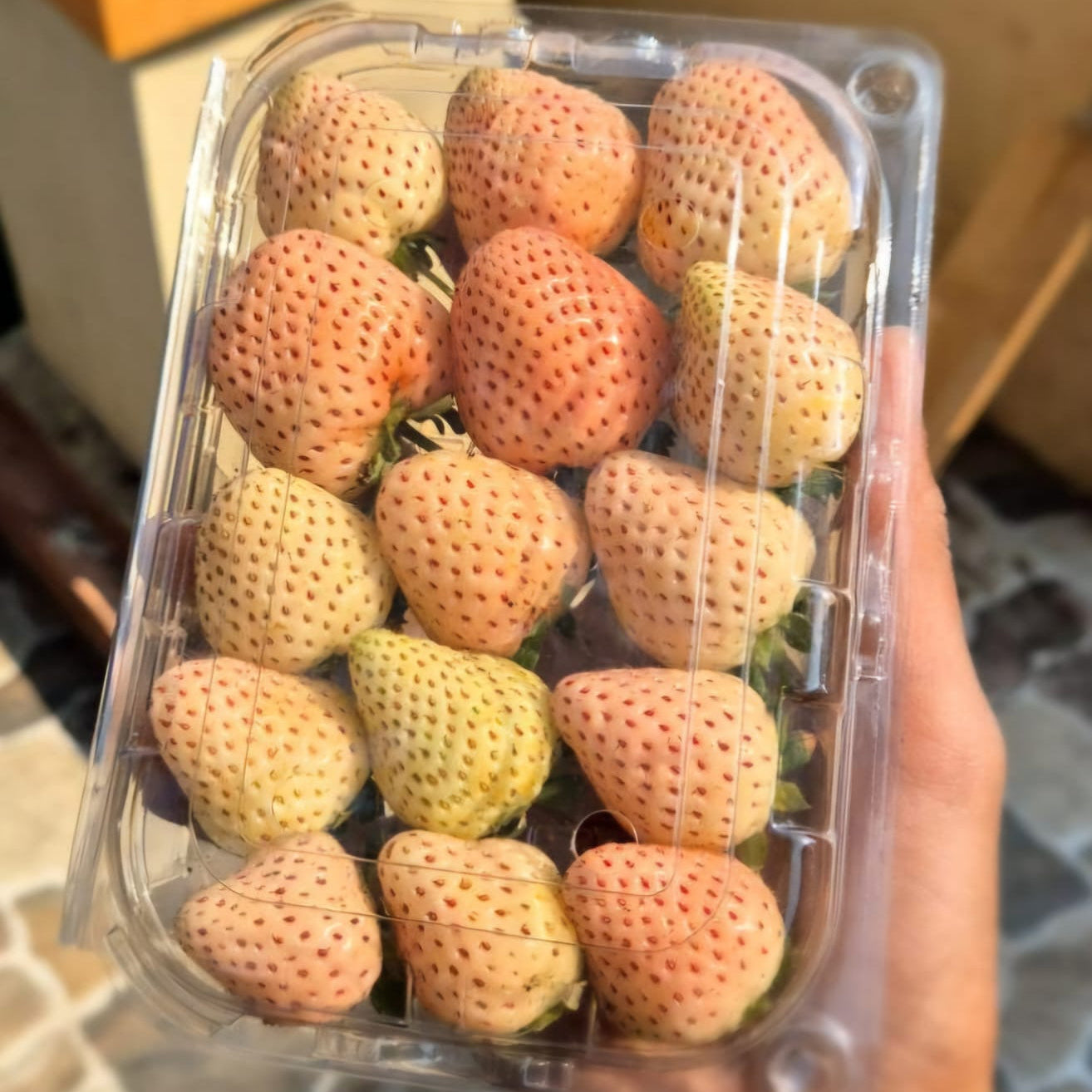 Florida Pearl Strawberry (Premium White Strawberry)